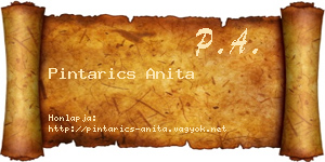 Pintarics Anita névjegykártya